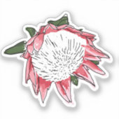 King Protea Custom cut Sticker III (Voorkant)
