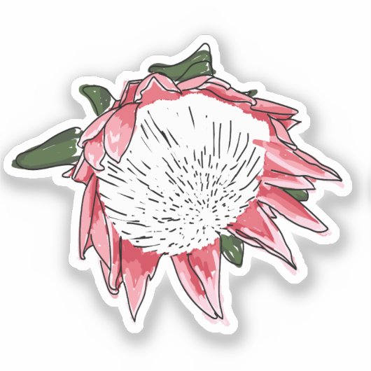 King Protea Custom cut Sticker III (Voorkant)