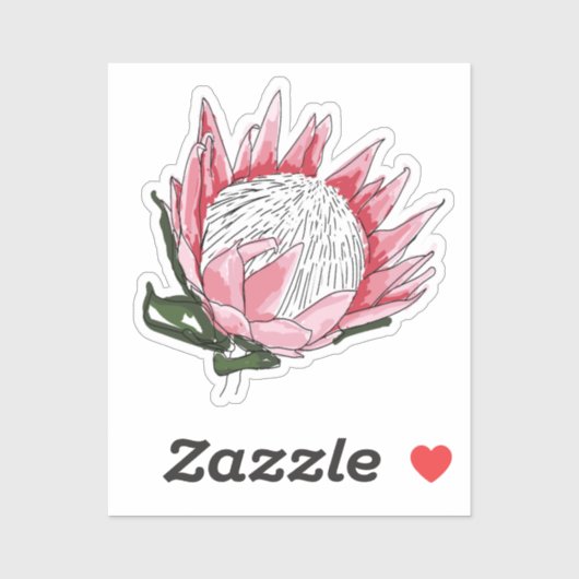 King Protea Custom cut sticker IV (Vel)