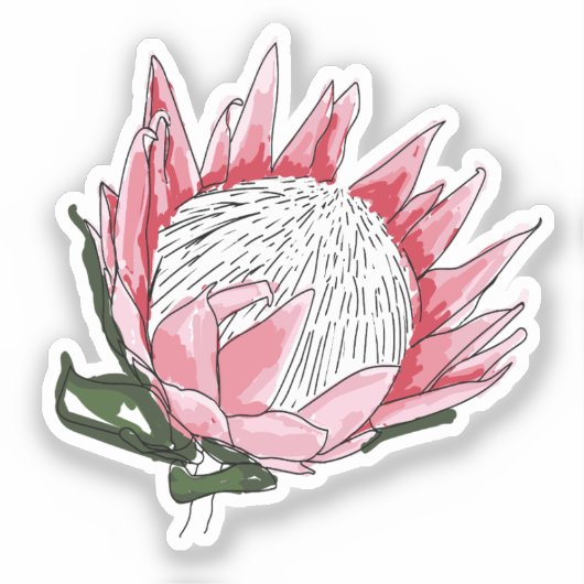 King Protea Custom cut sticker IV (Voorkant)