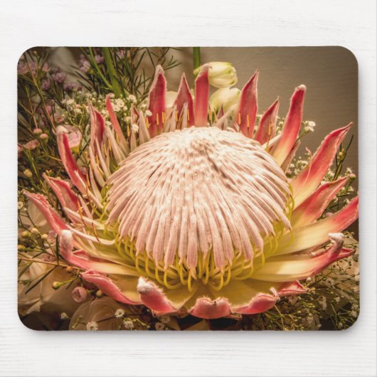 King Protea mousepad Muismat (Voorkant)