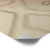 King Protea Poster (Hoek)