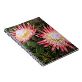 King Protea (Protea Cynaroides), Helderberg Notitieboek (Rechterzijde)