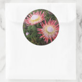 King Protea (Protea Cynaroides), Helderberg Ronde Sticker (Tas)