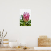 King Protea Roze Poster Print (Keuken)