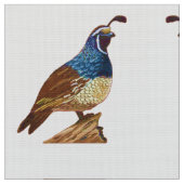 King Quail in het wit Stof (Close Up)