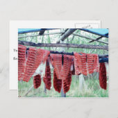 King Salmon die op Racks droogt Briefkaart (Voorkant / Achterkant)