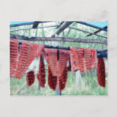 King Salmon die op Racks droogt Briefkaart (Voorkant)