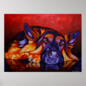 King Shepherd Poster (Voorkant)