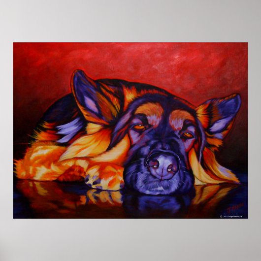 King Shepherd Poster (Voorkant)