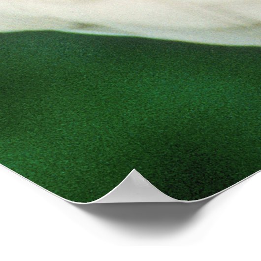 King Vulture Bird Poster (Hoek)