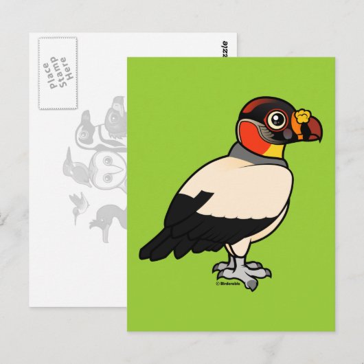 King Vulture Briefkaart (Voorkant / Achterkant)