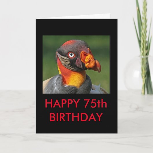 King Vulture - Happy 75th Birthday Kaart (Voorkant)