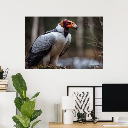 King Vulture Poster (Thuiskantoor)