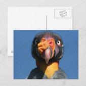 King Vulture Ugly Bird Briefkaart (Voorkant / Achterkant)