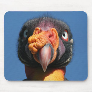 King Vulture Ugly Bird Mousepad Muismat