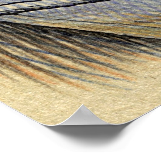 @kingbaird irkafirka poster (Hoek)