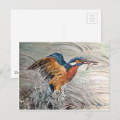 Kingfish Briefkaart (Voorkant / Achterkant)