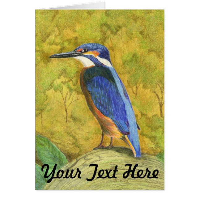 Kingfisher (Voorkant)