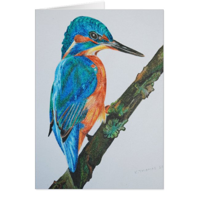 Kingfisher (Voorkant)