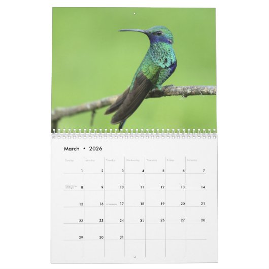 Kingfisher 2025 kalender (Mar 2026)