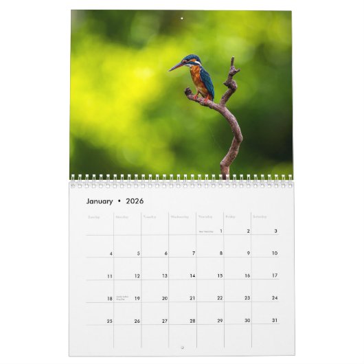 Kingfisher 2025 kalender (Jan 2026)
