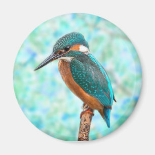 Kingfisher Bird Blue Abstract Magneet