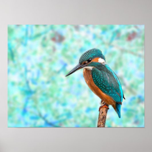 Kingfisher Bird Blue Abstract Poster (Voorkant)