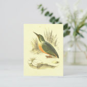 Kingfisher  Bird Lithograaf Briefkaart (Staand voorkant)