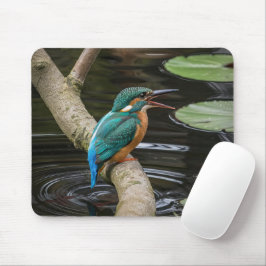 Kingfisher Bird Muismat