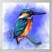 Kingfisher Bird Poster - Schilderen (Voorkant)