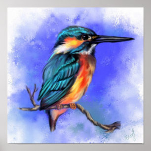Kingfisher Bird Poster - Schilderen
