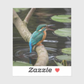 Kingfisher Bird Sticker (Vel)