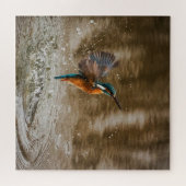 Kingfisher Bird Uit Water Foto Legpuzzel (Horizontaal)