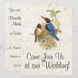 Kingfisher Bird Wildlife Animal Weddenschap Kaart
