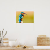 Kingfisher Bird Wildlife Closeup Photograph Poster (Keuken)