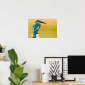 Kingfisher Bird Wildlife Closeup Photograph Poster (Thuiskantoor)