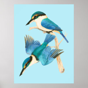 Kingfisher Birds Blue Waterverf Poster