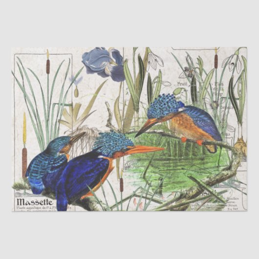 Kingfisher Birds Cattail Iris Flowers Tissue Paper Tissuepapier (Voorkant)