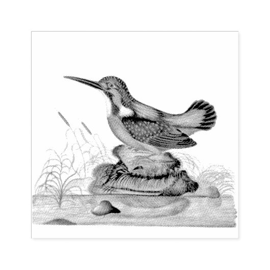 Kingfisher Birds Scrapbooking Rubberstempel (Afrduk)