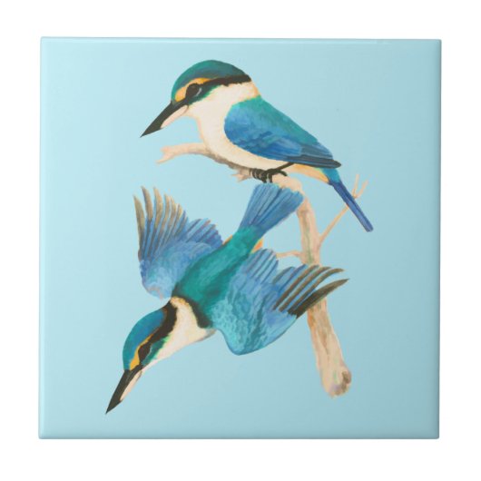 Kingfisher Birds Waterverf Blauw Tegeltje (Voorkant)
