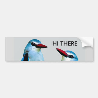 Kingfisher Birds Zuid-Afrika Bumpersticker