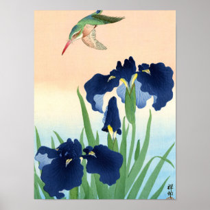 Kingfisher boven Irises, 1926, door Ohara Koson Poster