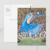 Kingfisher Briefkaart (Voorkant / Achterkant)