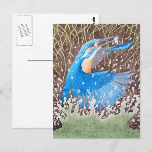 Kingfisher Briefkaart (Voorkant / Achterkant)