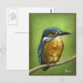Kingfisher Briefkaart (Voorkant / Achterkant)