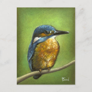 Kingfisher Briefkaart