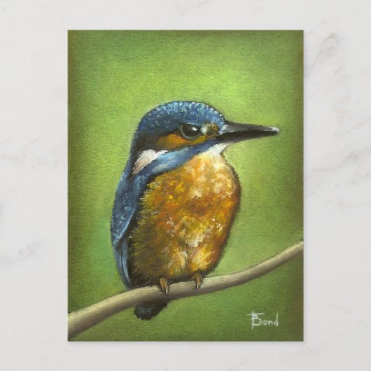 Kingfisher Briefkaart (Voorkant)