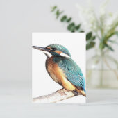 "Kingfisher" Briefkaart (Staand voorkant)