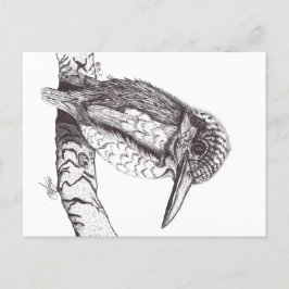 KINGFISHER BRIEFKAART